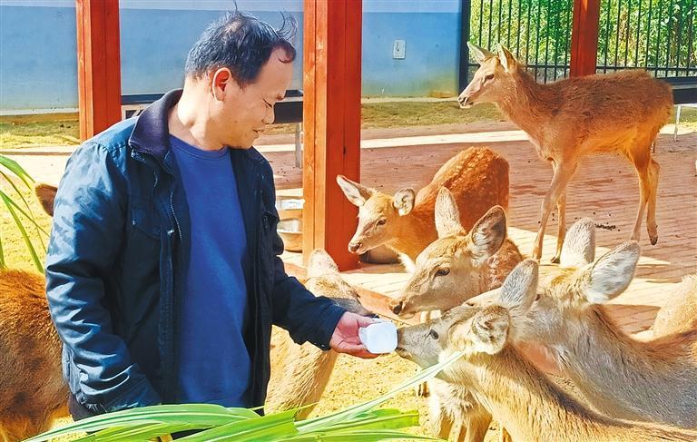 量发展产业调研】林下生金冰球突破正规网站【高质(图3)